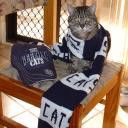 After the Game - Go the CATS