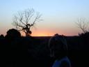 Oz Travellers - Sunset on the Nullabor