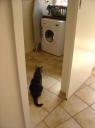Jess watching the clothes spin in the washing machine - plus shelf