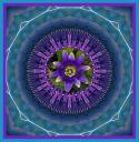 Mandala - Purple Passion Flower