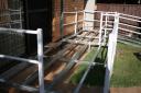Deck stage 1 - cattle yards